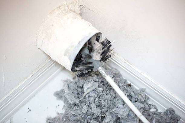 Air Duct Mold Removal in Fincastle, TN